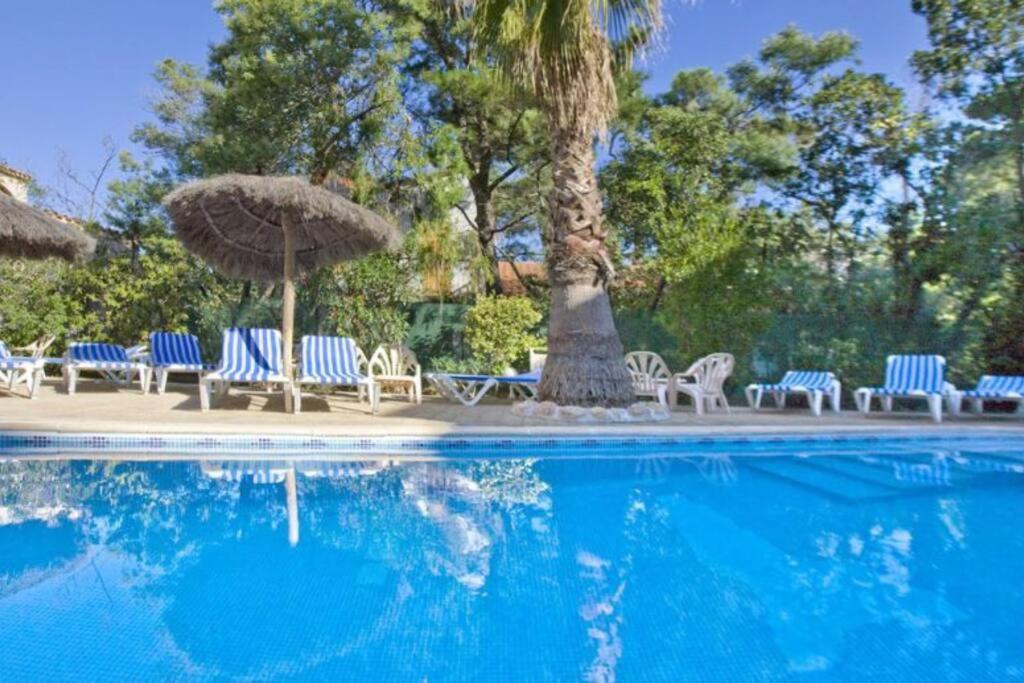 Studio/F1Bis A 50 M De La Plage Аржеле-сюр-Мер Екстериор снимка
